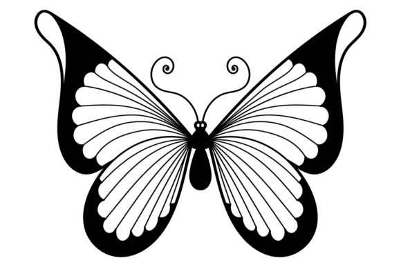 Butterfly Black Decorative Element. Eleg: Graphics & Illustrations