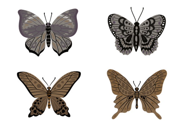 Butterfly Decorative Design: Graphics & Illustrations for Brand Warmth