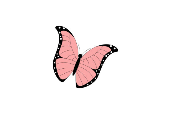 Butterfly Summer Decorative