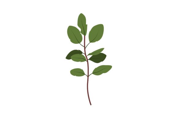 Decorative Fresh Twig Illustration: Graphics & Illustrations for Editorial Polish