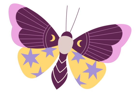 Exotic Butterfly