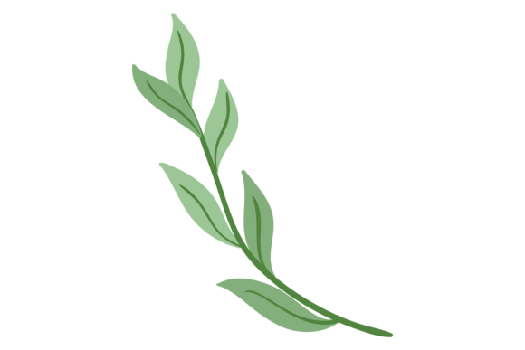 Green Branch Graphics: Botanical Illustrations for Sellers