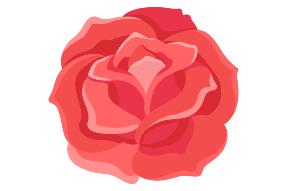 Red Rose Element: Decorative Botany Graphics & Illustrations