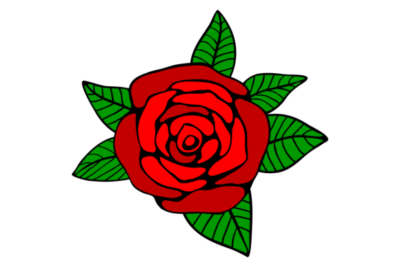 Red Rose Patch: A Graphic Designer’s Take