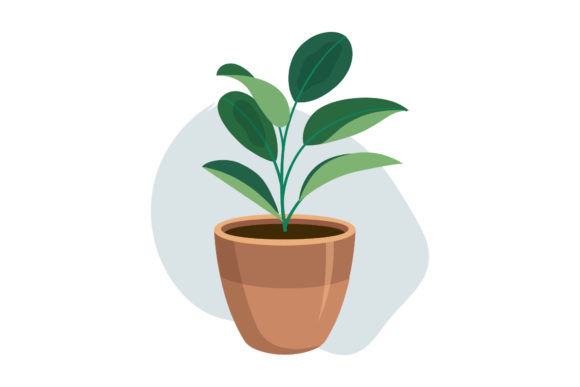 Spring Decorative Plant Graphics & Illustrations